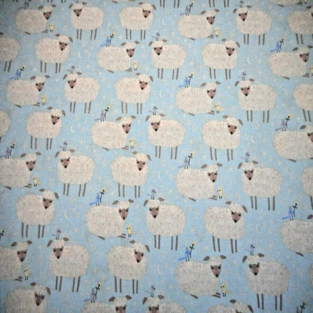 Next Product Image