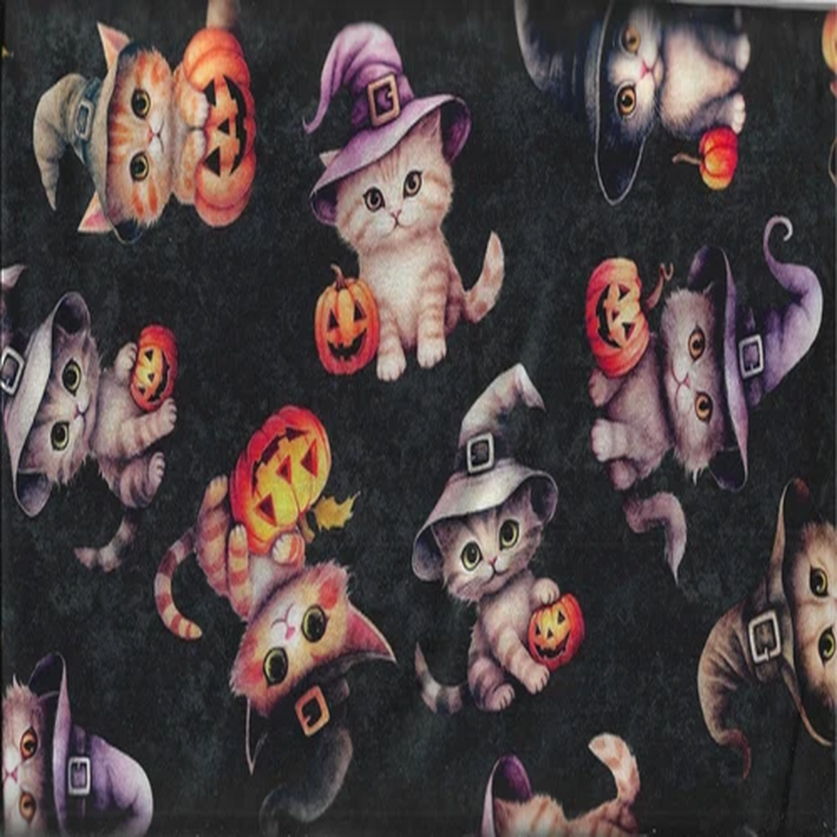 100% cotton Halloween fabric "Kitties" by Quilting Treasures