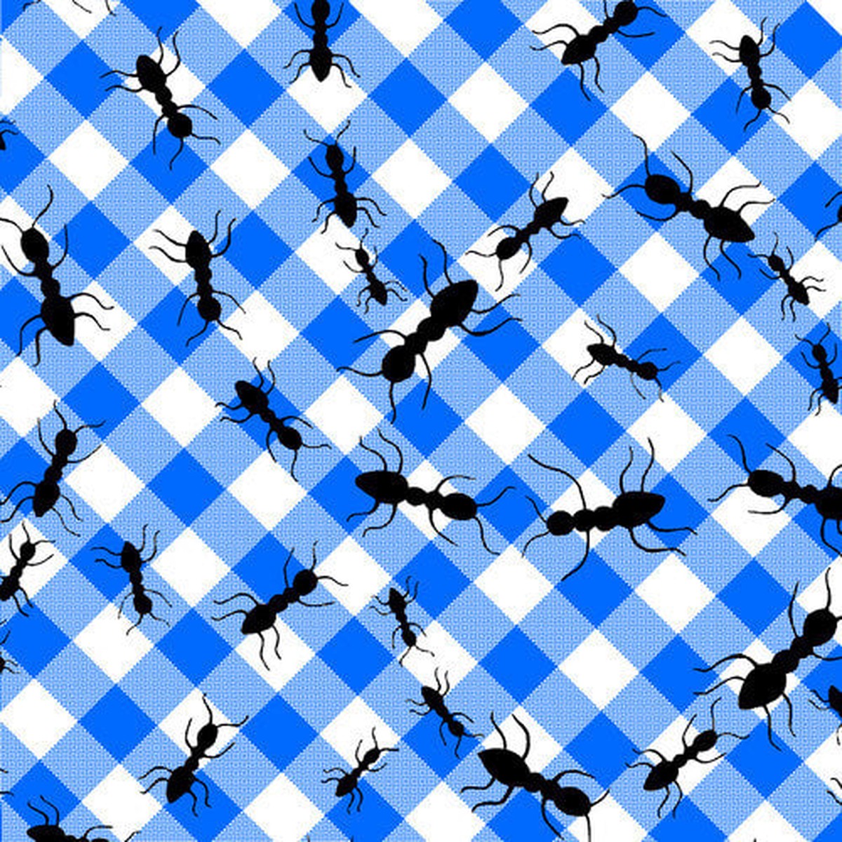 Comfy Flannel - Blue Gingham Check with Ants