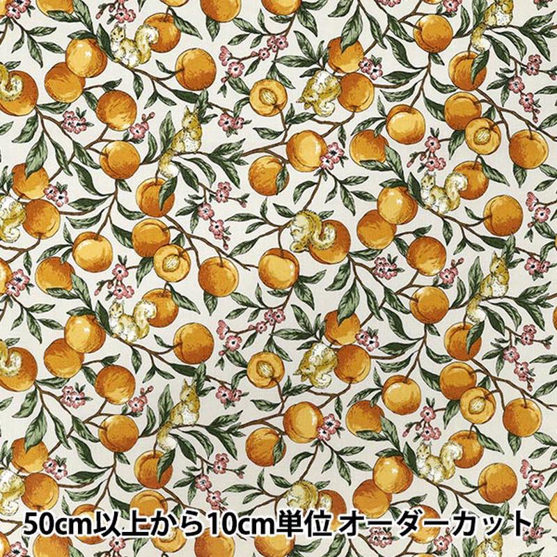 [Quantity starting from 5] Fabric Sheeting Fruit squirrel Ivory YZ55103-1A"